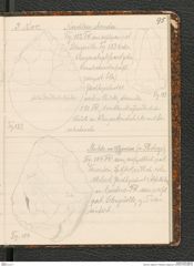 Seite 99, Tagebuch "Palästina (Tagebuch)" (NHMW-PRAE-BBB-80)